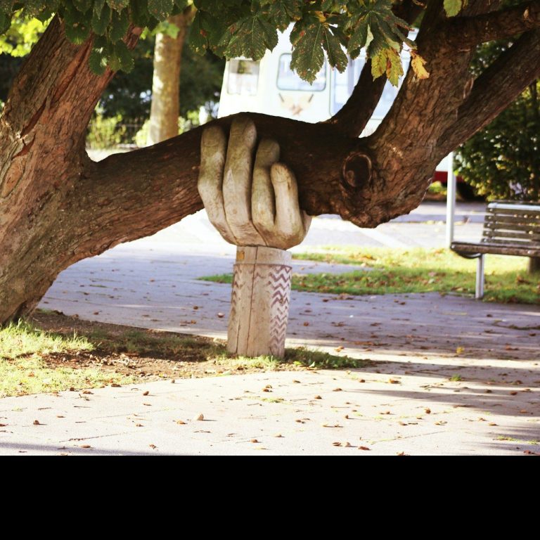 Een sculptuur van een hand die een boomtak vasthoudt.